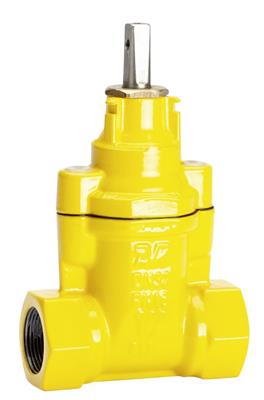 DIENSTKRAAN, NBR - GAS, BSP 1 1/4"F DN32