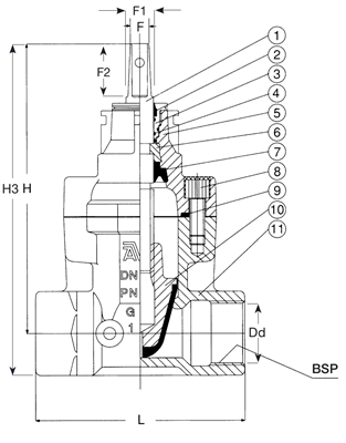 SERV. CON VA., NBR-GAS, BSP 5/4"F